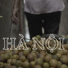 SẤU CHÍN - HƯƠNG VỊ MÙA THU HÀ NỘI