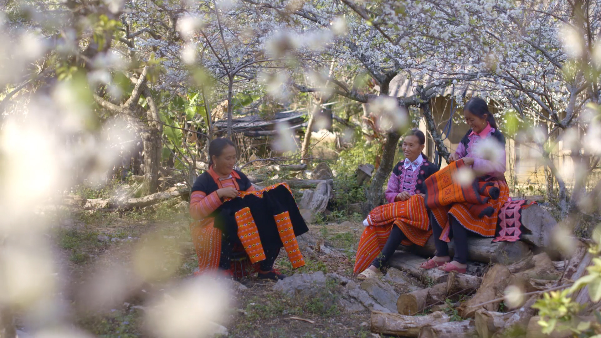 MỘC CHÂU - SƠN LA