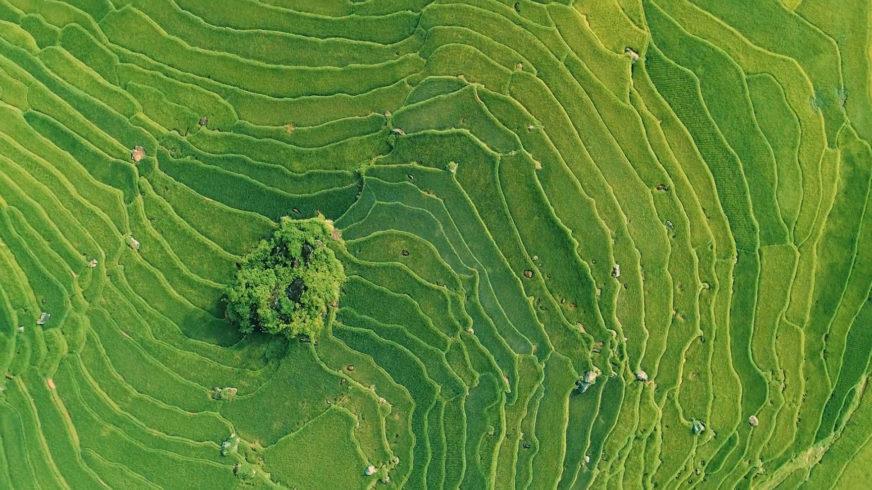 PÙ LUÔNG - THANH HOÁ